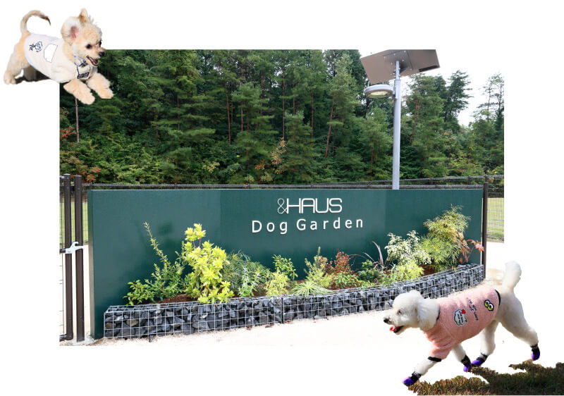 茨城で雨の日に遊べる室内ドッグラン：＆HAUS Dog Garden